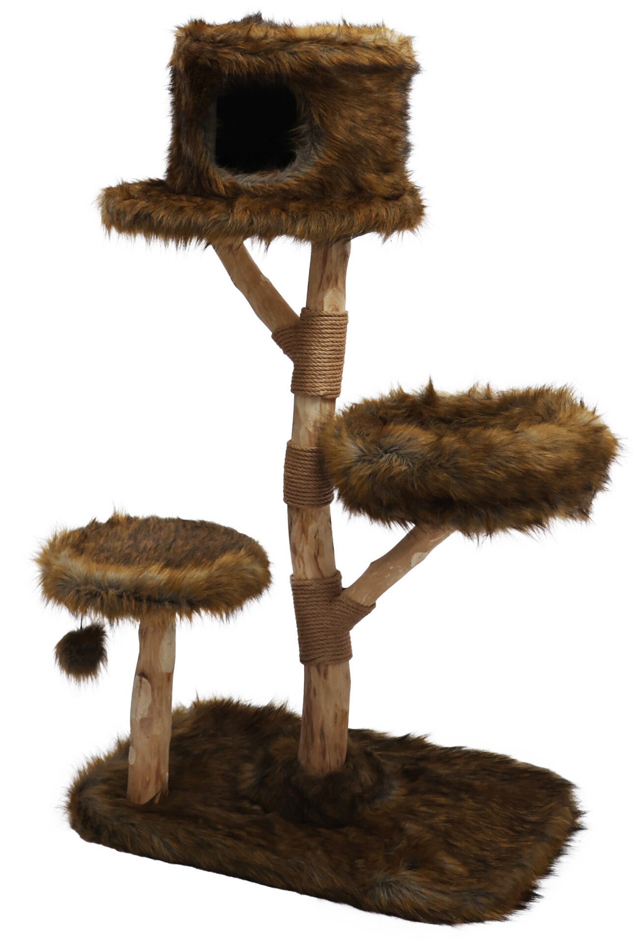 Est. 1941 Klimboom Pinus 136 cm