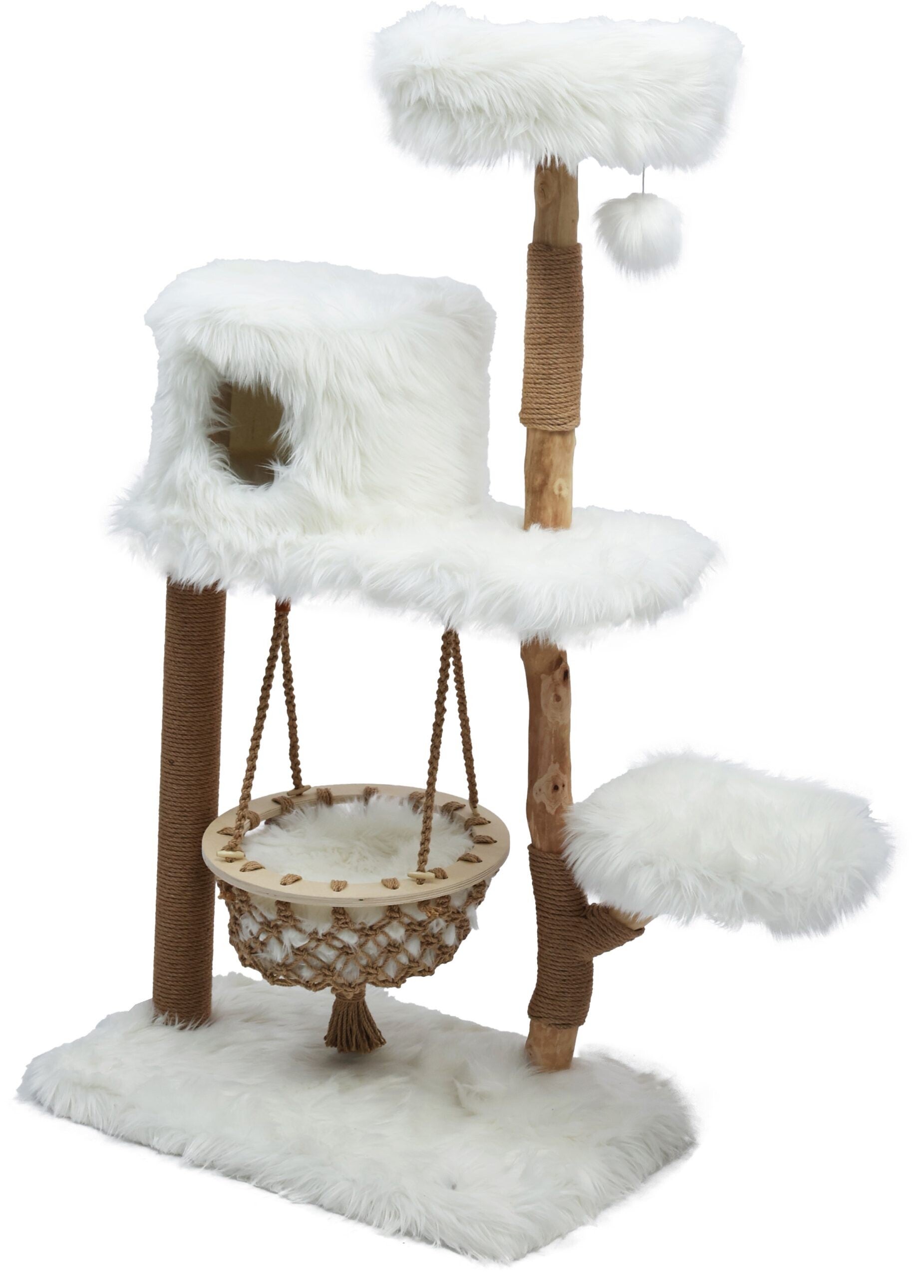Est. 1941 Klimboom Populus 154 cm