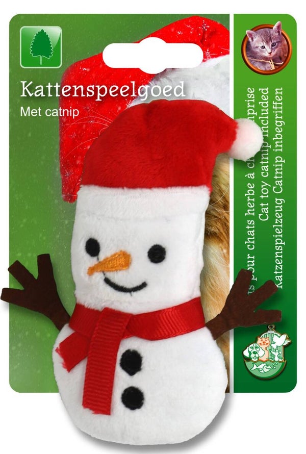 Sneeuwpop Met Kerstmuts