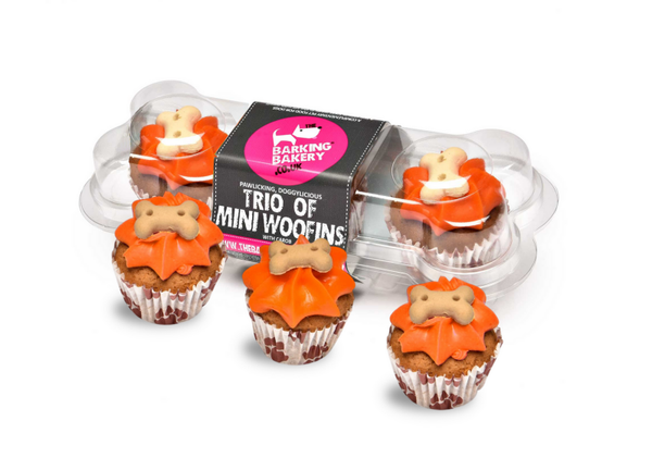 The Barking Bakery Mini Iced Oranje Woofins