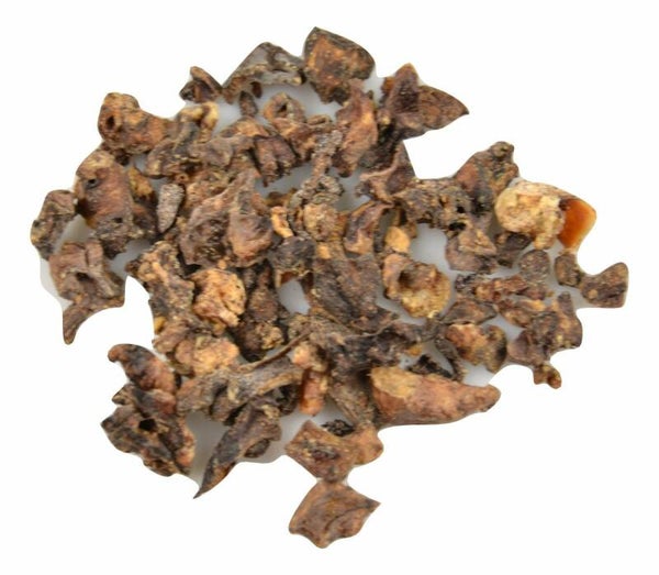 Carnis Mini Trainer Lamslong 150 gram