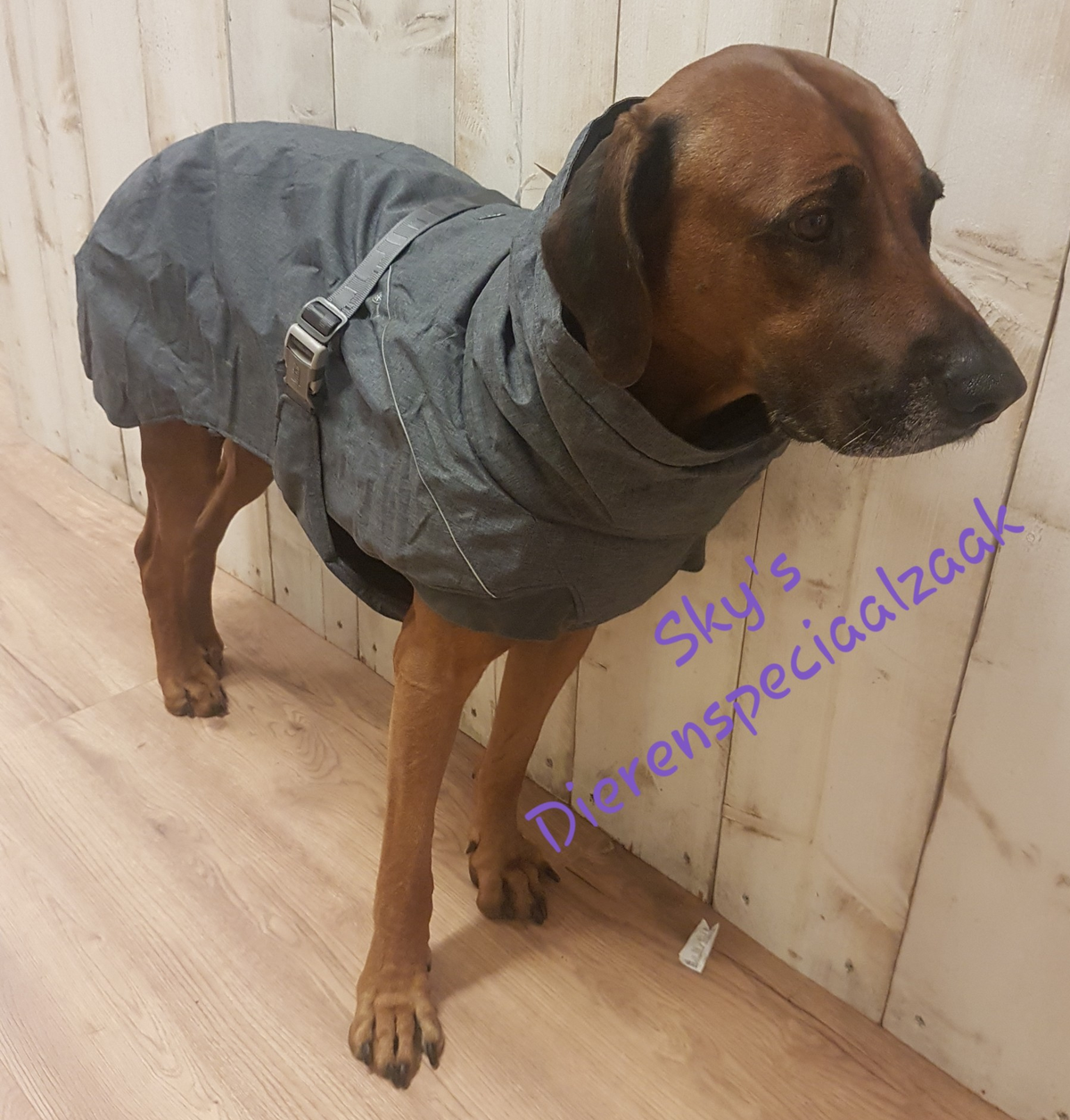 Hurtta Expedition Parka Blackberry Sky s Dierenspeciaalzaak