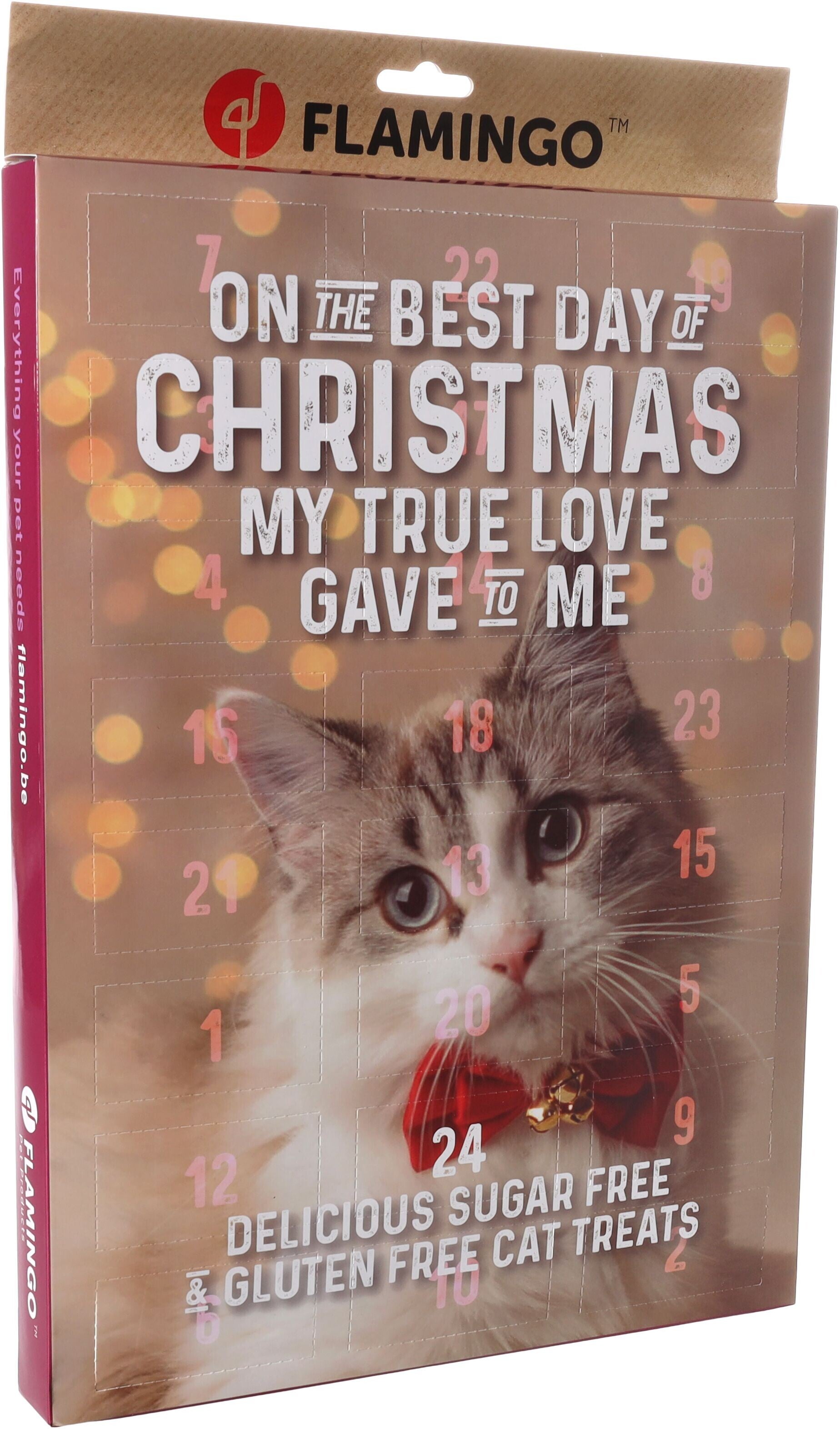 Kerst Advent Kalender Kat