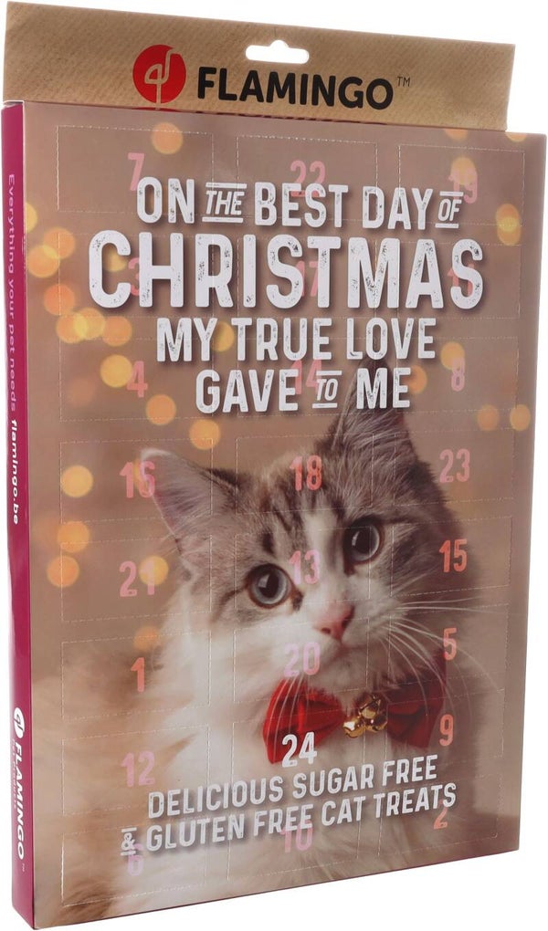 Kerst Advent Kalender Kat