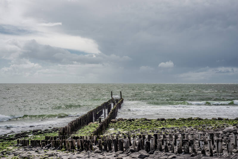 zeeland-12-1-van-1-standard.jpg