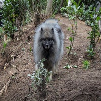 img_5664-standard.jpg
