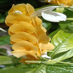 img_20231112_114230_578.jpg