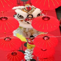 sydney-drachentanzzumchinesischenneujahrsfest-jahrdesdrachen5.jpg