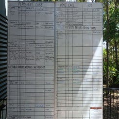 koalahospital6.jpg