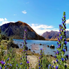 lakewanaka4.jpg