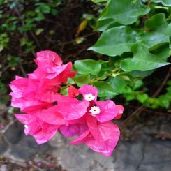 img_20231014_073402_371.jpg