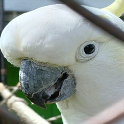 img_20231213_114225_320.jpg