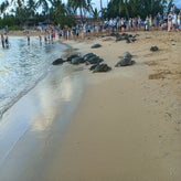img_20231021_175342_502.jpg