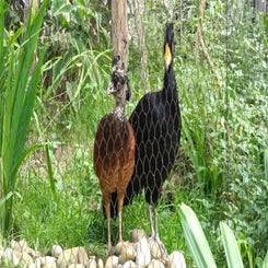 einblick-in-die-sch-ne-tierwelt-22-standard.jpg
