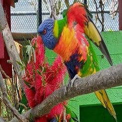 img_20231213_120107_2292.jpg