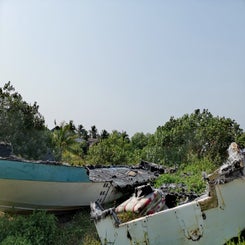 m-llentsorgung-auf-vietnamesisch-1-standard.jpg