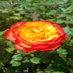img_20240112_150129_300.jpg