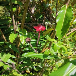 img_20231027_111957.jpg