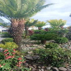 img_20240123_162655_696.jpg
