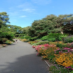 img_20240211_161447_974.jpg