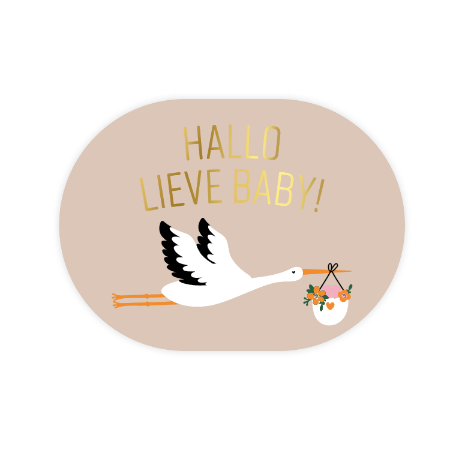 Sticker | Hallo Lieve Baby | 5 stuks