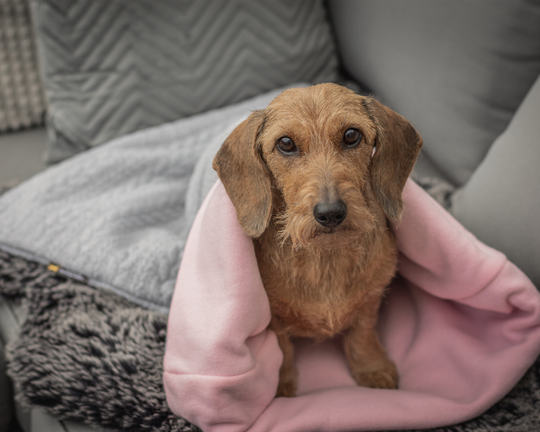 Slaapzak Grijs Kabelmotief Roze