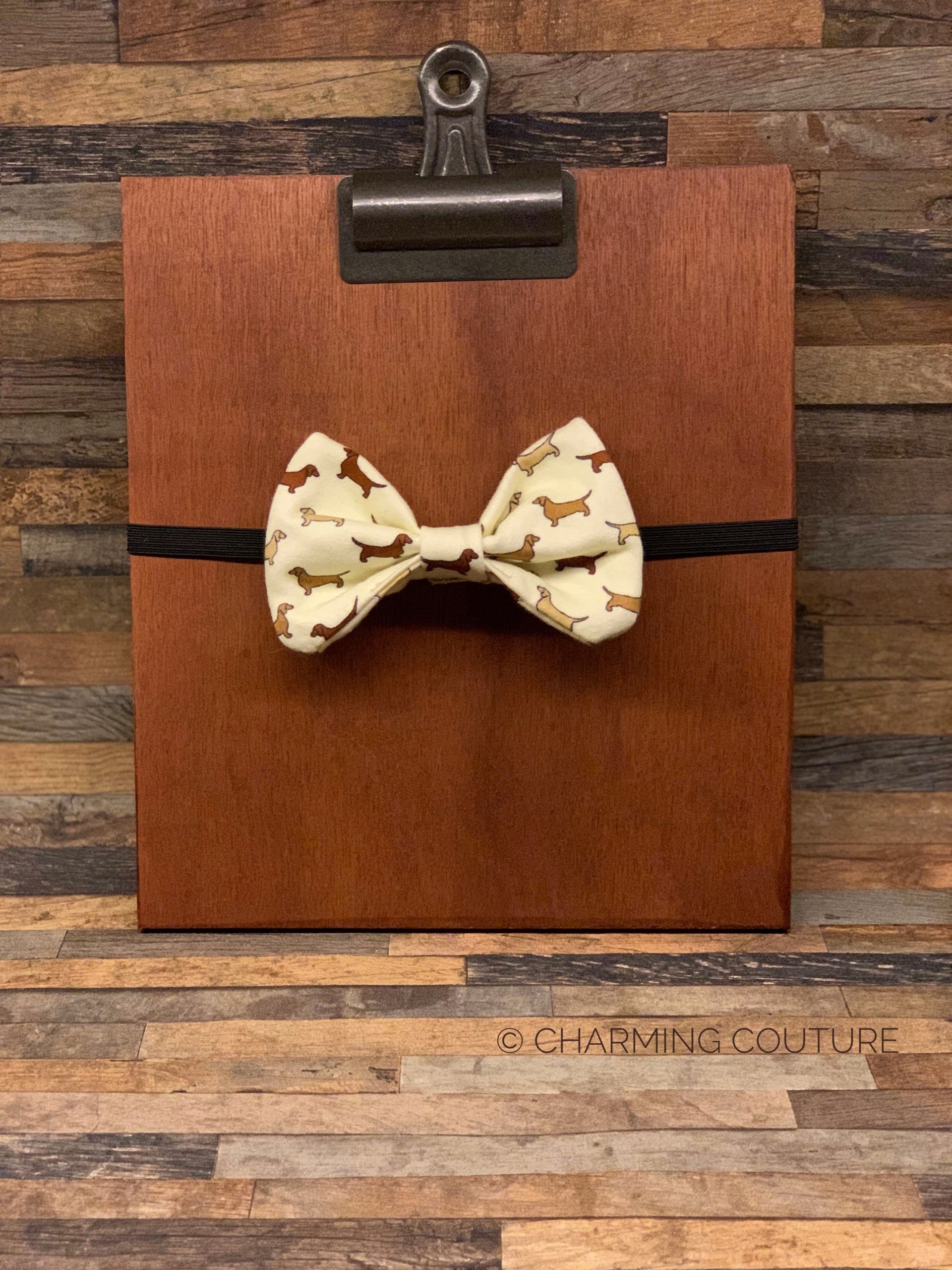 Bow Tie Doxie Yellow