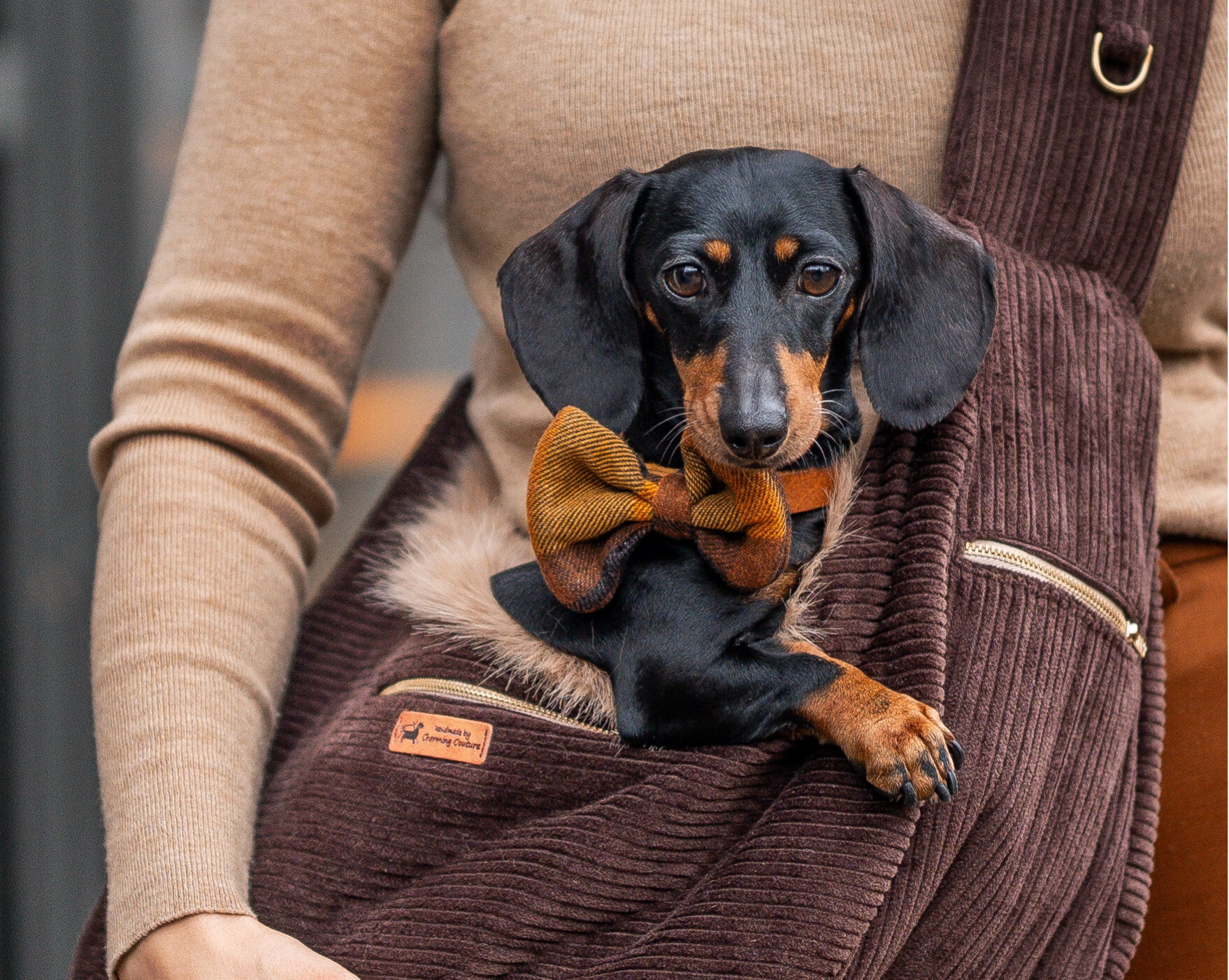 Luxe Ergonomische Draagzak