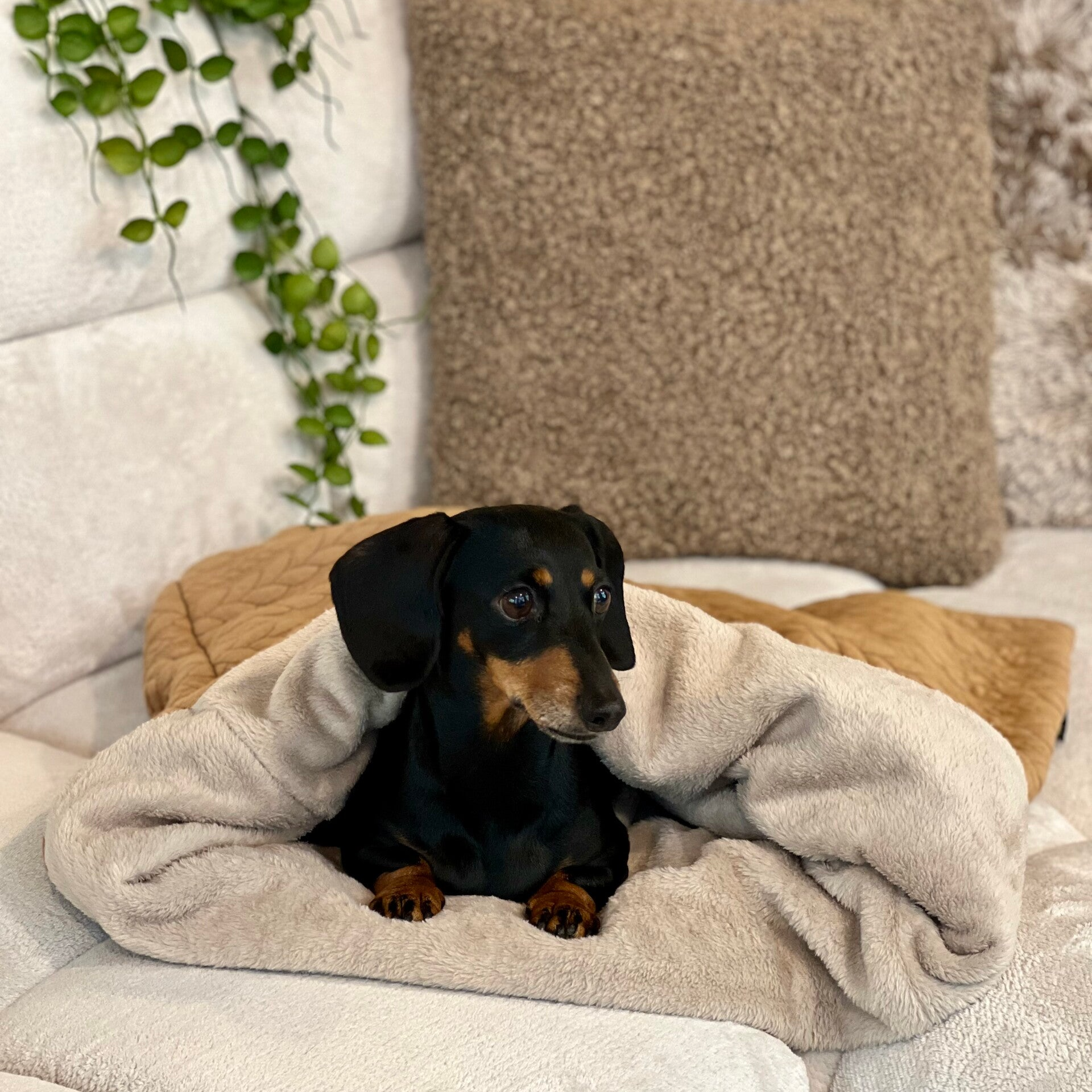 Slaapzak Fudge Kabelmotief