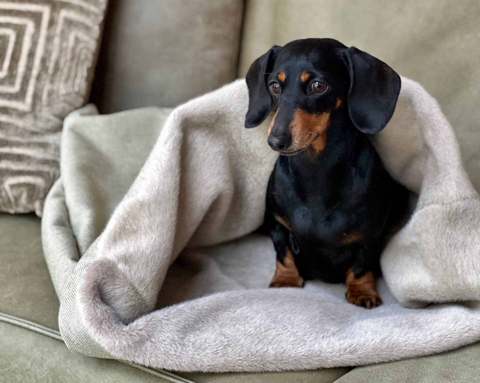 Luxury Sleeping Bag Ultra Soft Sage Green