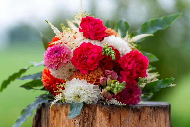 068_hochzeit-standard.jpg