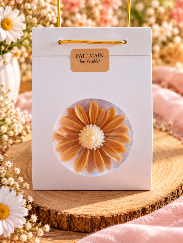 Marguerite Parfumée     20g