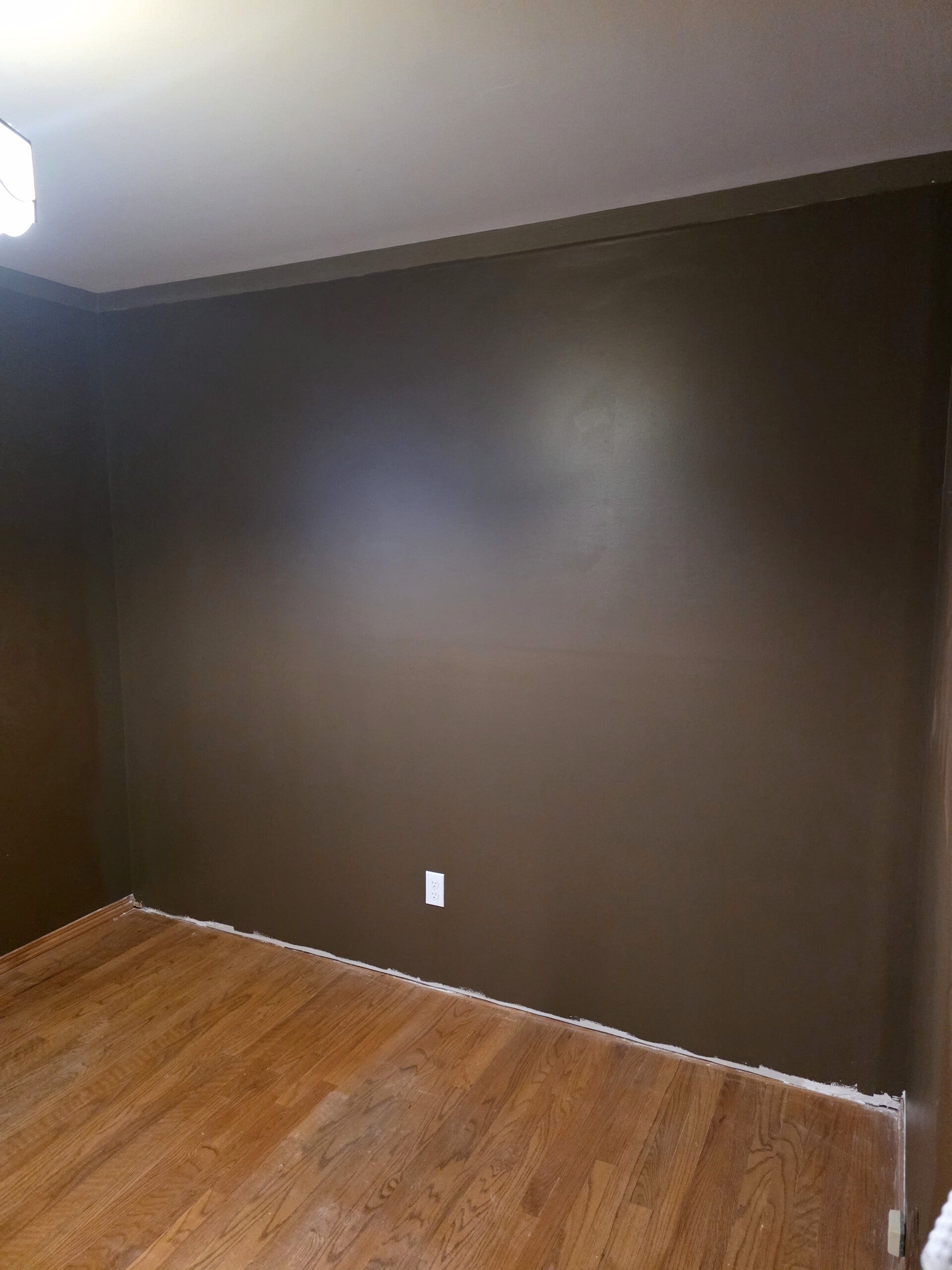 1000256768-standard.jpg