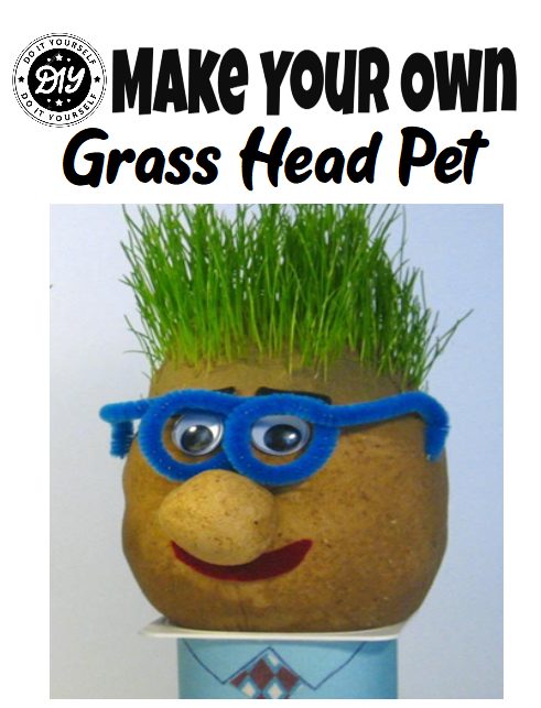 DIY Grass Head Pet