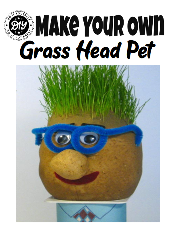 DIY Grass Head Pet