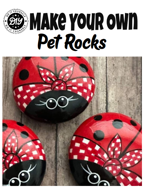 DIY Pet Rock Kit