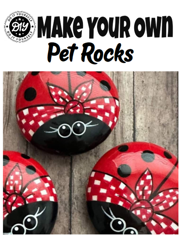 DIY Pet Rock Kit