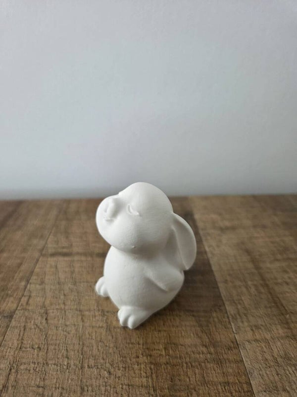 Lief klein konijntje