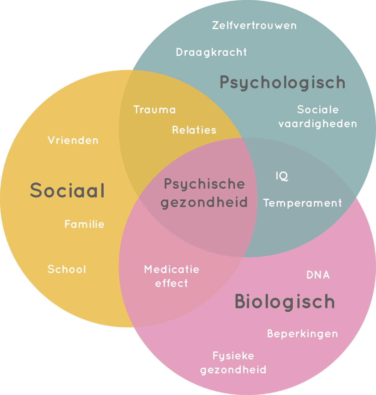 Biopsychosociaal model / Wat is PMT? / Praktische informatie PMT