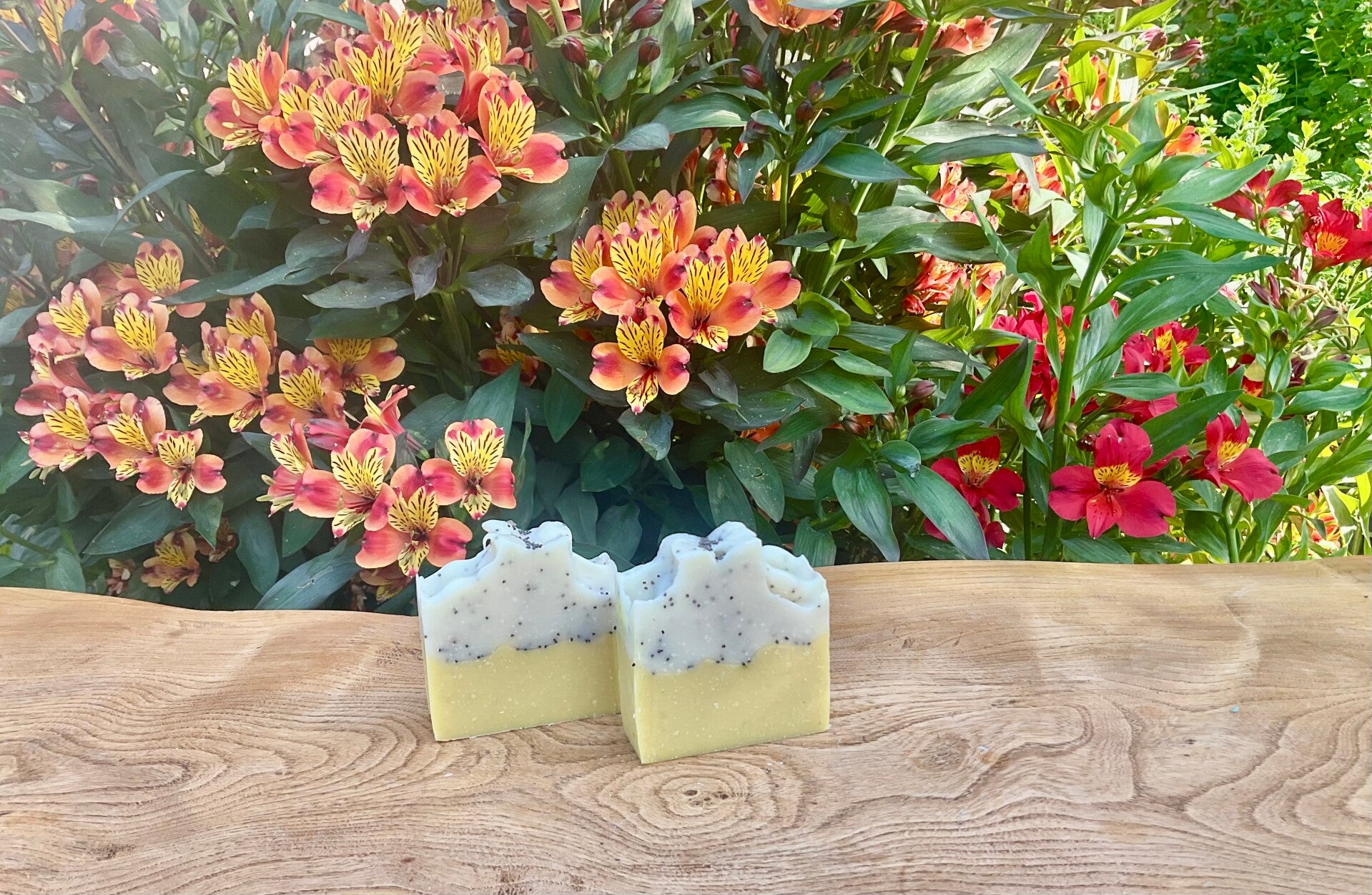 Sweet Lemon with Poppy Seeds Expoliation