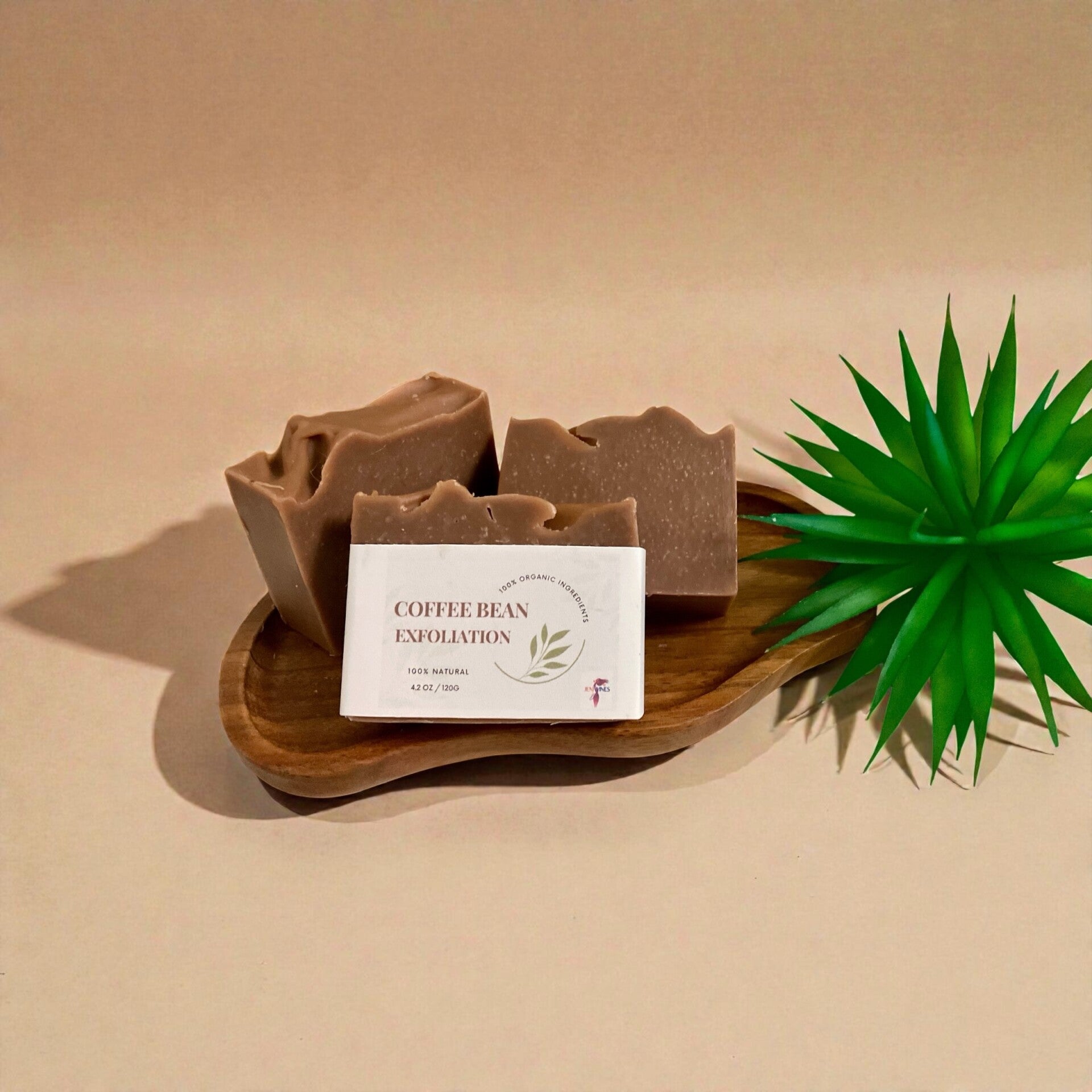 3pcs -Coffee Bean Exfoliation Bar Soap