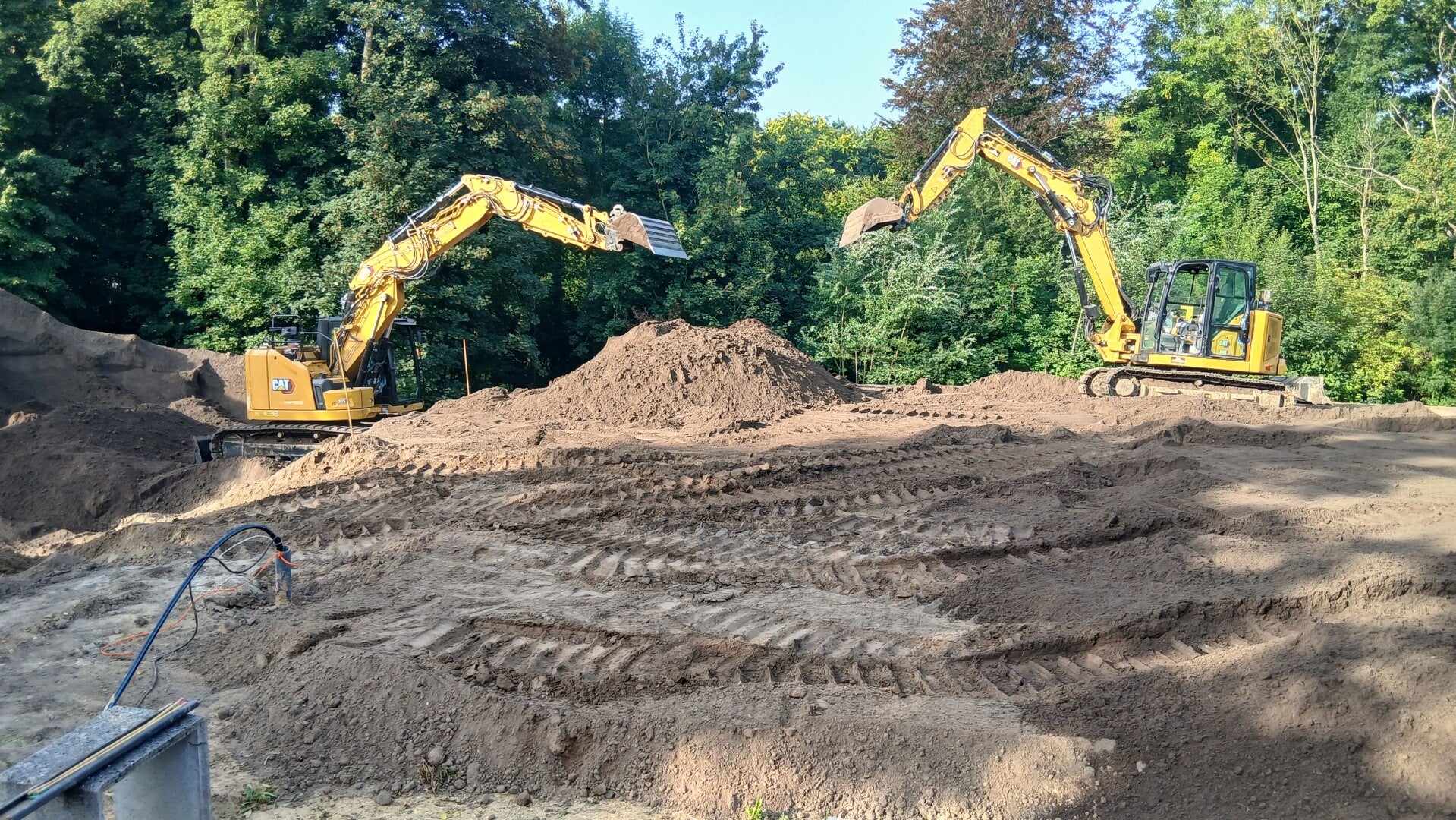 20250813_092030-standard.jpg