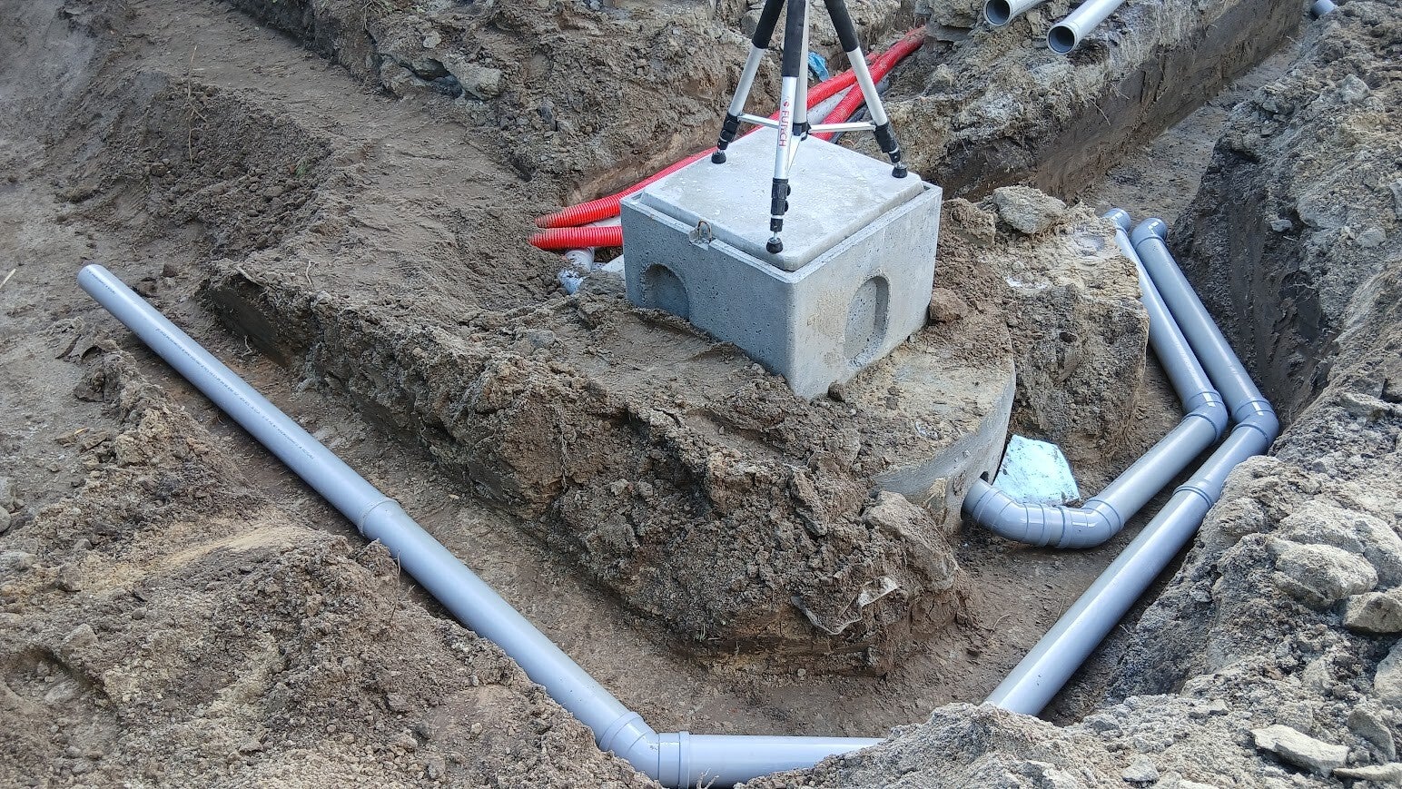 20250922_113804-standard.jpg