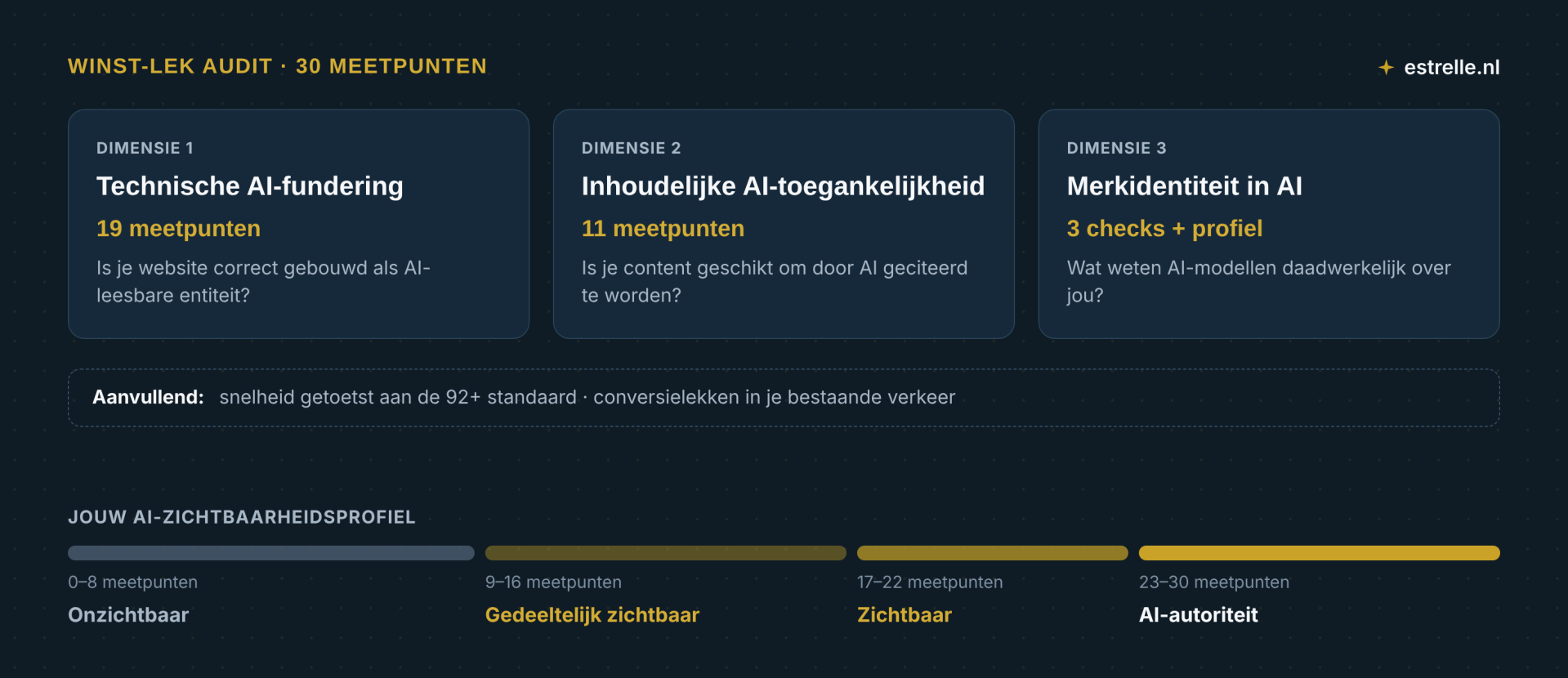 Winst-Lek Audit: 30 meetpunten in drie dimensies (technische AI-fundering, inhoudelijke AI-toegankelijkheid en merkidentiteit in AI), aangevuld met snelheid en conversielekken, met vier profielen van onzichtbaar tot AI-autoriteit.