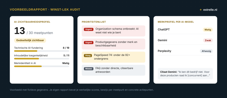 Voorbeeld van een Winst-Lek Audit-rapport met fictieve gegevens: een AI-zichtbaarheidsscore van 13 van de 30 meetpunten, een prioriteitenlijst met urgentielabels en een merkprofiel per AI-model.