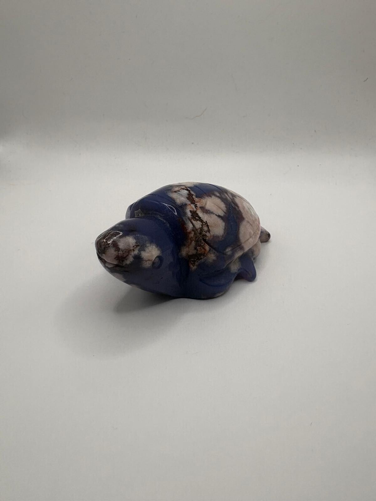 Bloem agaat schildpad