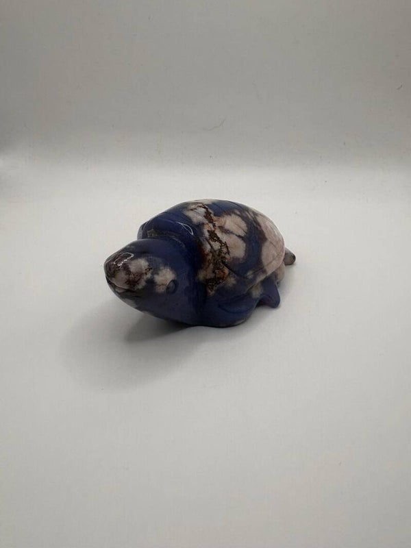 Bloem agaat schildpad