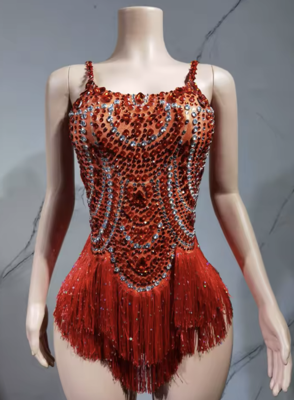 Ruby Sparkle Fringe Latin Dance Dress