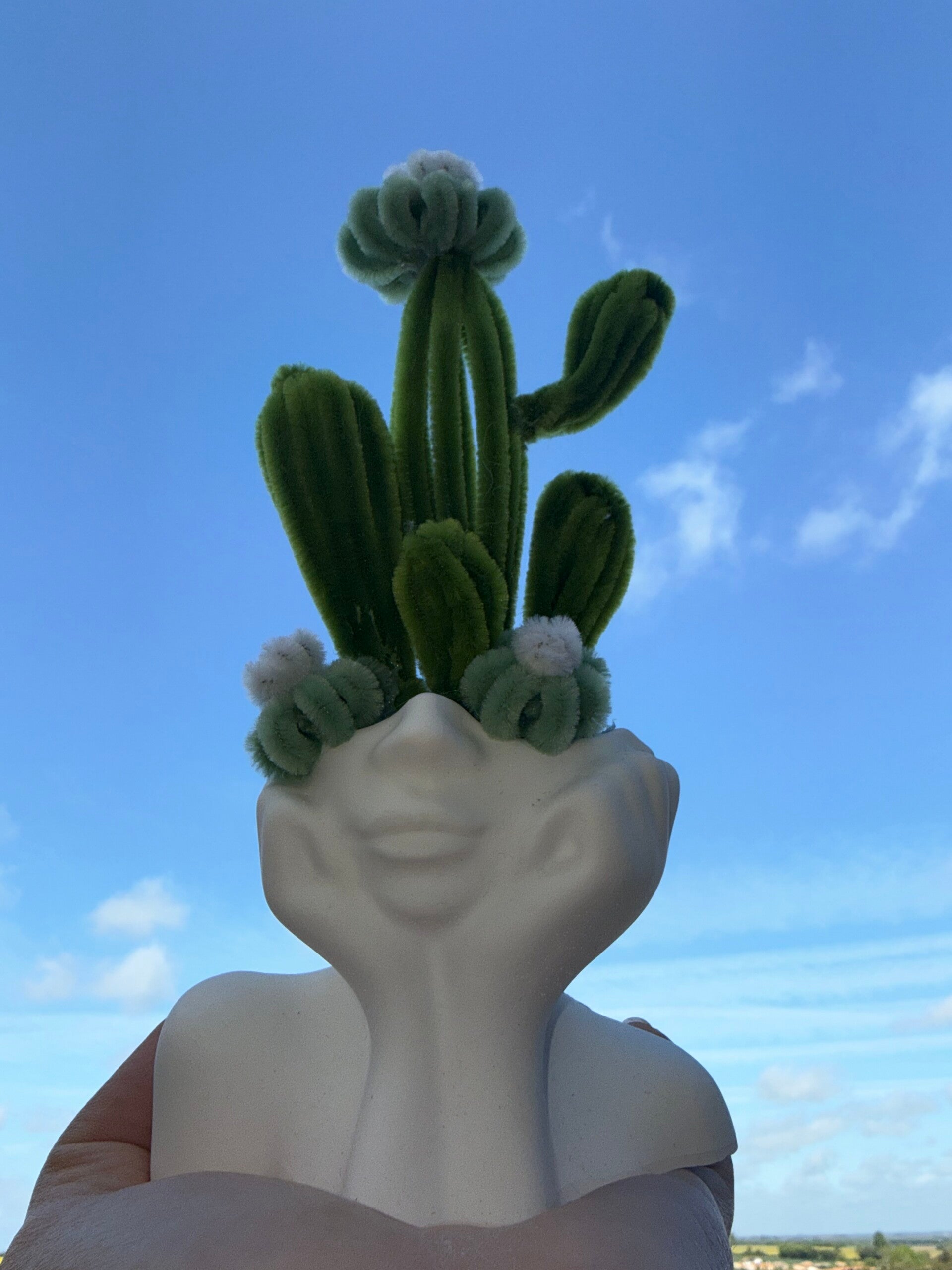 Composition de cactus