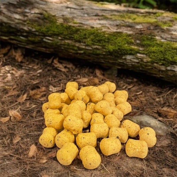 Azar graine (équilibré)